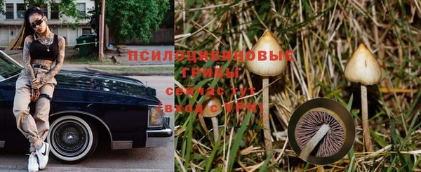 альфа пвп Пересвет