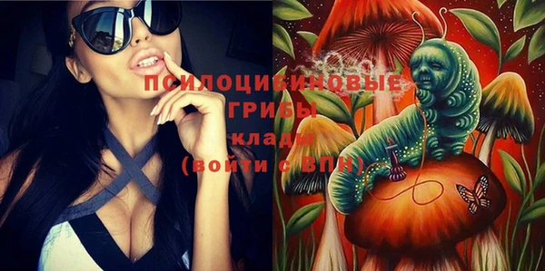 экстази Арсеньев